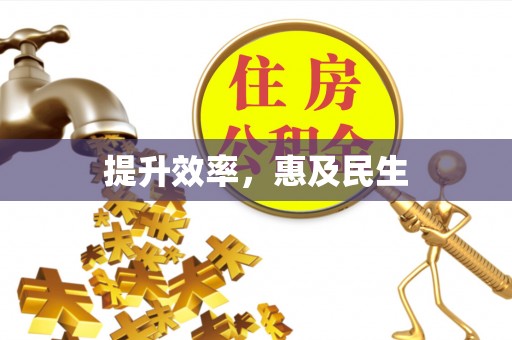 安陆提升效率，惠及民生
