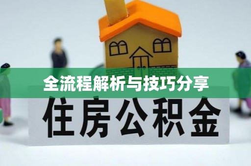 安陆全流程解析与技巧分享